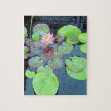 Nature Scene - Frog and Lily Pads