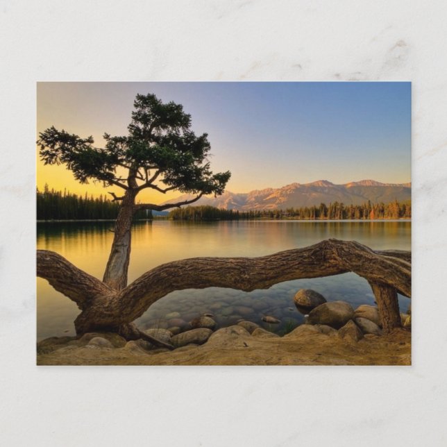 Nature Scene Postcard (Front)