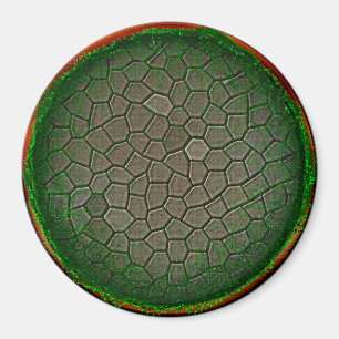 Nature Sphere Magnet