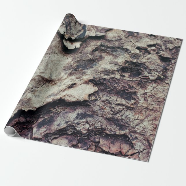 Nature texture wood bark rough wrapping paper (Unrolled)