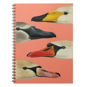 Nature The Many Faces of a Swan Notebook