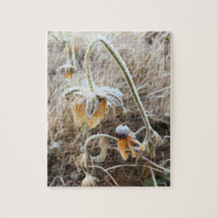 Nature Touched Rudbeckia Coated In Morning Frost Jigsaw Puzzle