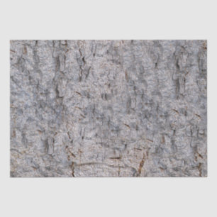 Nature Tree Bark Photo Tissue Paper