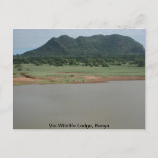 Nature view from Voi wildlife Lodge Postcard