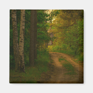 Nature Village Rural Hut Forest Belarus Birch Magnet
