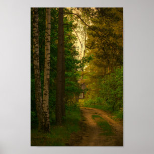Nature Village Rural Hut Forest Belarus Poster