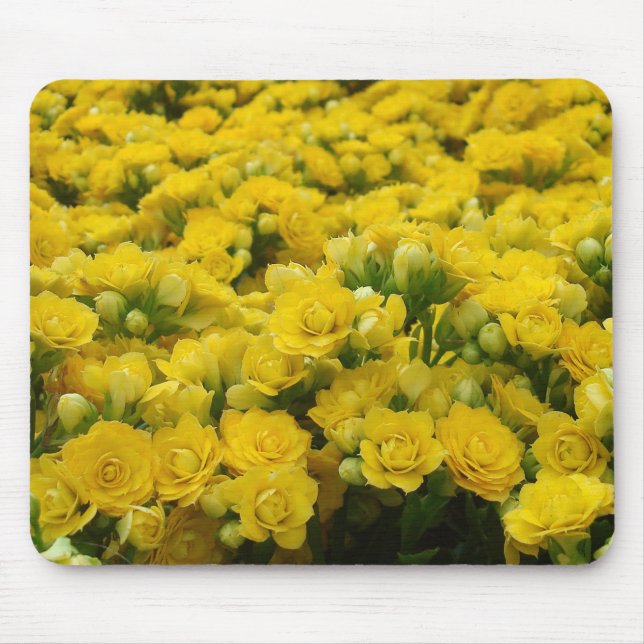 Nature Vivid Yellow Flower Bloom Photo Floral Mouse Pad (Front)