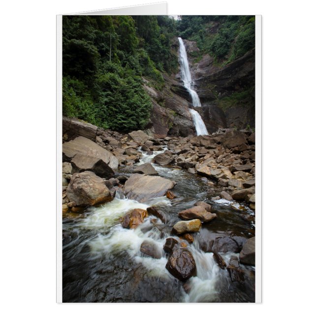 Nature waterfall and river (Front)