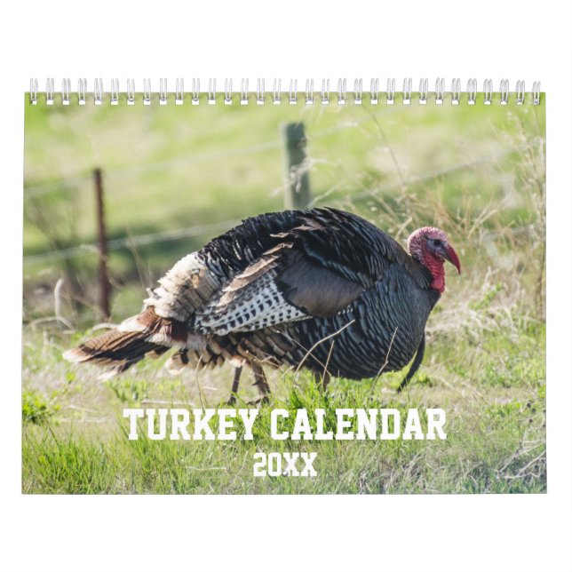 Nature Wild Turkey Calendar (Cover)