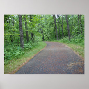 Nature Woods Forest Path Photography Poster Art MN