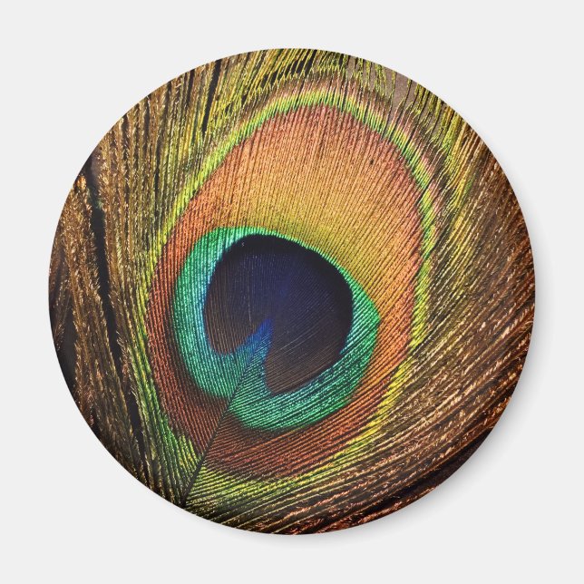 Nature's Art 4Wilma Magnet (Front)