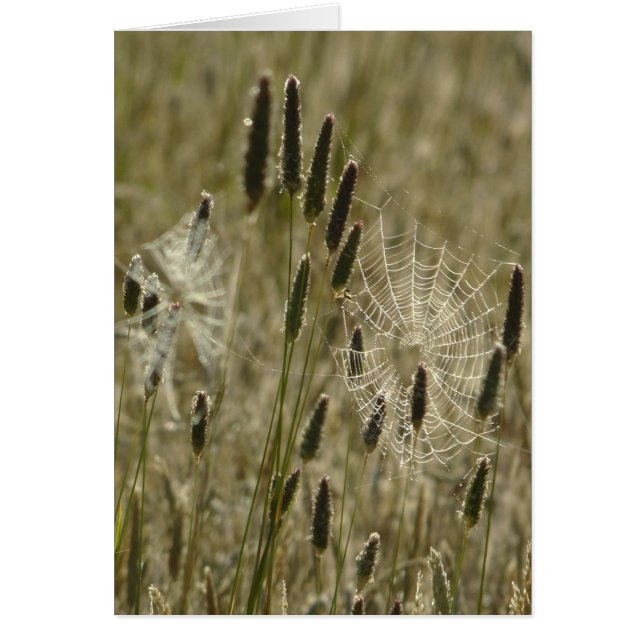 Nature's Artists (Front)