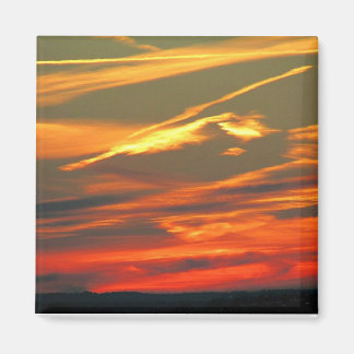 Nature's Artwork Magnet