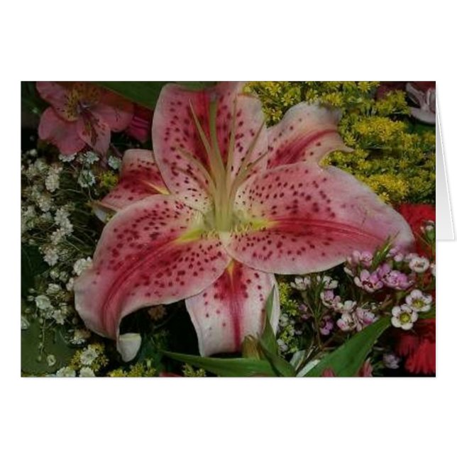 Nature's Beauty (Front Horizontal)