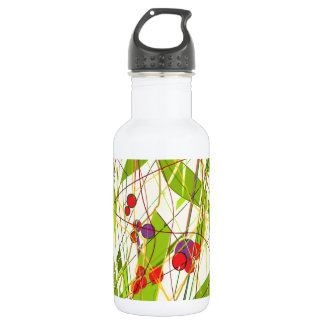 Natures Beauty 532 Ml Water Bottle
