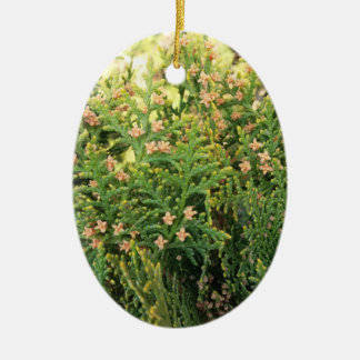 Nature's Beauty: Juniper Tree Ceramic Tree Decoration
