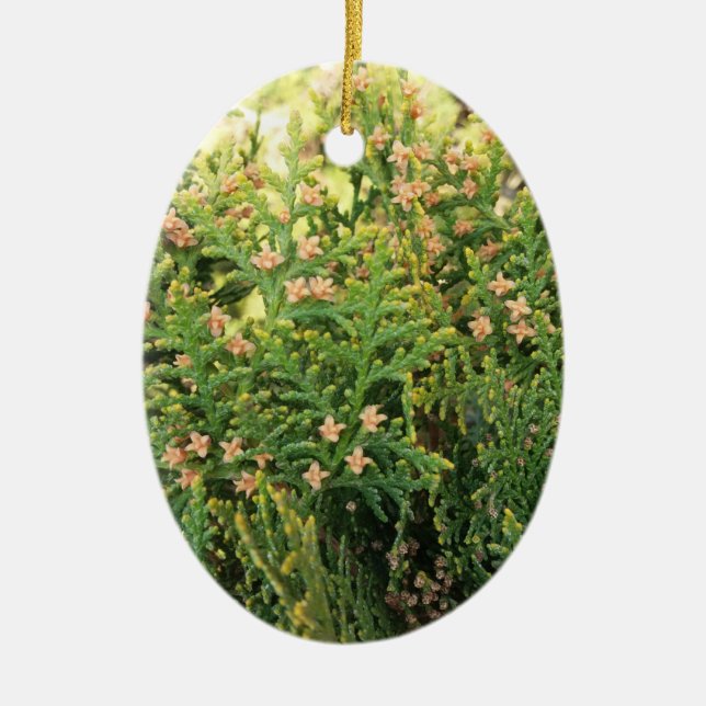 Nature's Beauty: Juniper Tree Ceramic Tree Decoration (Front)