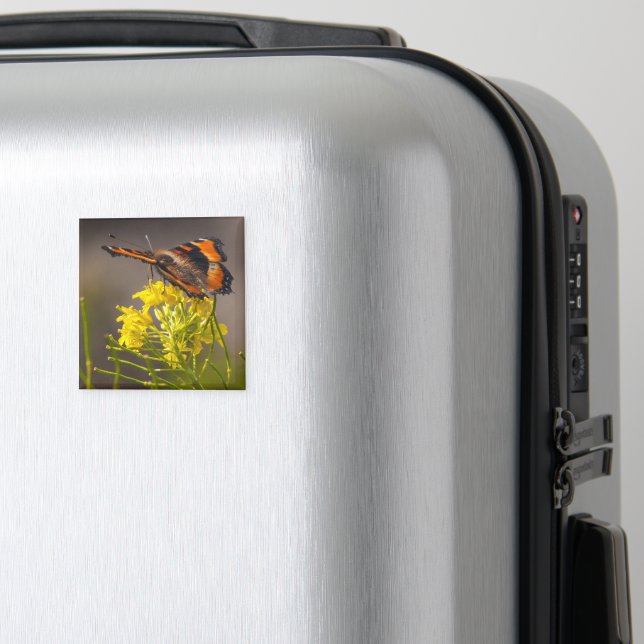Natures Beauty Milbert's Tortoiseshell Butterfly Magnet (In Situ (Luggage))