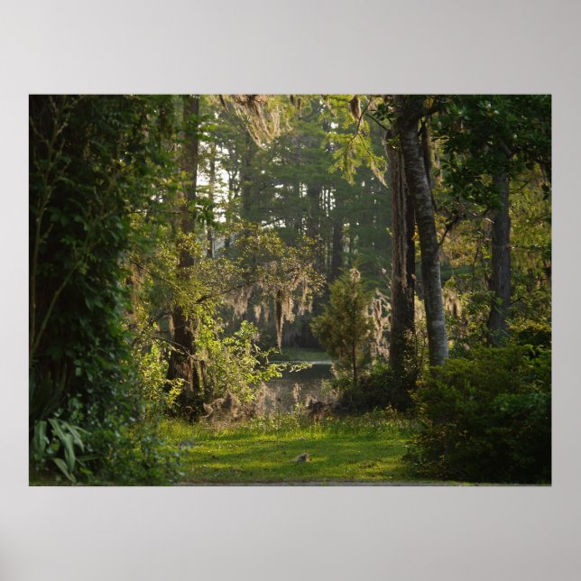 Natures Beauty Poster (Front)