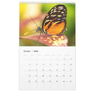 Nature's beauty: Small Sights Calendar