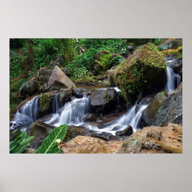 Nature's Bliss Poster (Front)