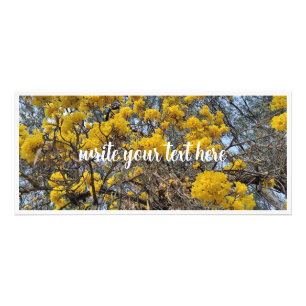 Nature's bloom rack card