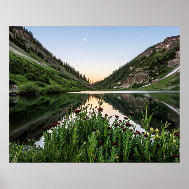 Natures Bouquet // Floral Foreground Poster (Front)