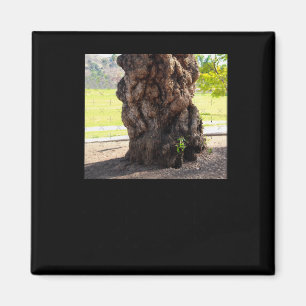 Nature's Bumpy Tree Sticker Magnet
