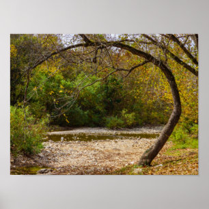 Natures Circle Poster