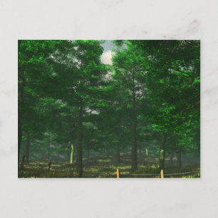 Nature's Clarity Postcard