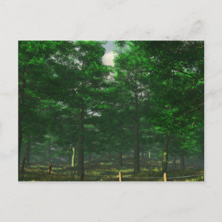 Nature's Clarity Postcard