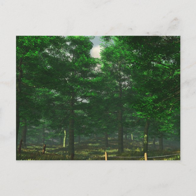 Nature's Clarity Postcard (Front)