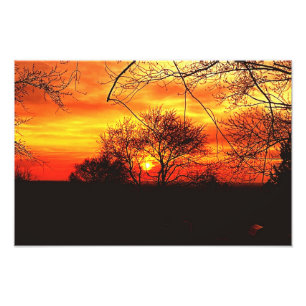 NATURES CONCERT OF COLOR PHOTO PRINT