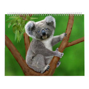 Nature's Cutest Monthly Calendar