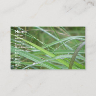 Nature's Episode/ Business Card