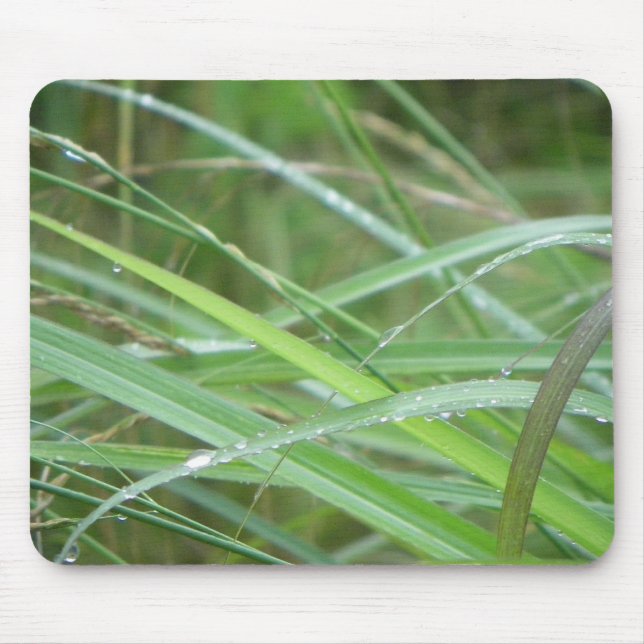 Nature's Episode/ Mouse Pad (Front)