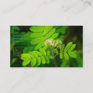 Natures Glory Business Card