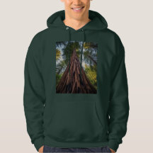 Nature's Grandeur Unveiled  * A Glimpse into the A