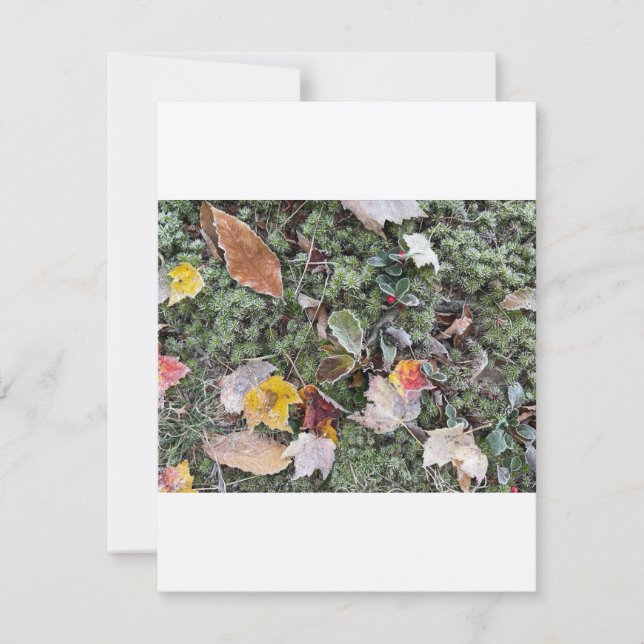 Natures hard frost, Flat Note Card (Front)