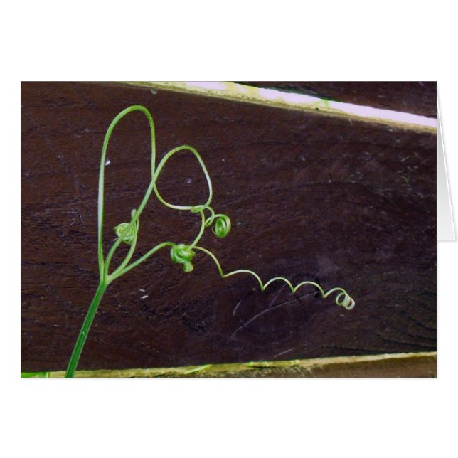 Nature's Heart Strings (Front Horizontal)