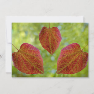 Nature's Leaves of Love Thank You Card