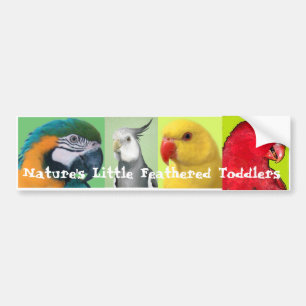 Nature's Little Feathered Toddlers Bumper Sticker