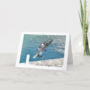 Nature's Little Secrets GET THEM NOW! Card