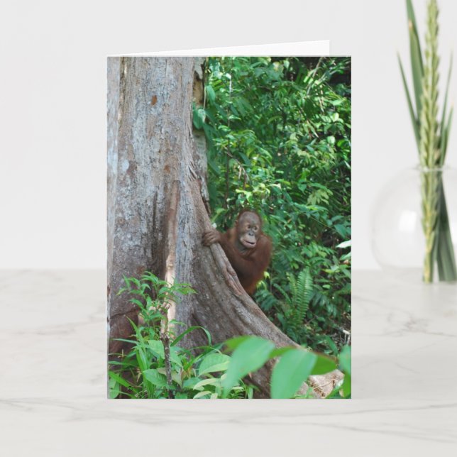 Nature's Original Tree Hugger in Rain Forest Card (Front)