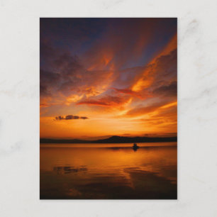 Natures Palette Postcard