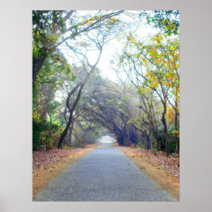 natures path poster