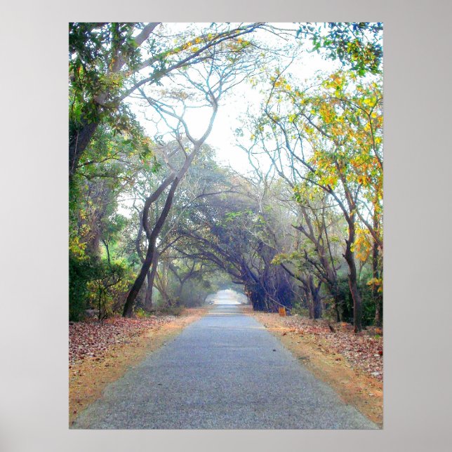 natures path poster (Front)