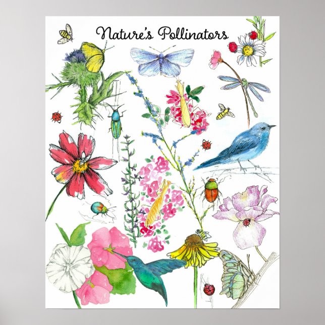 Natures Pollinators Honeybee Birds Insects Flowers Poster (Front)