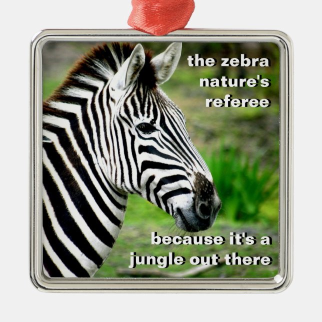 Nature's Referee Metal Tree Decoration (Front)