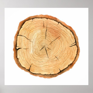 Nature's Rings: Tree Texture Triumph Poster